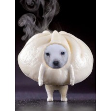 dogmandu